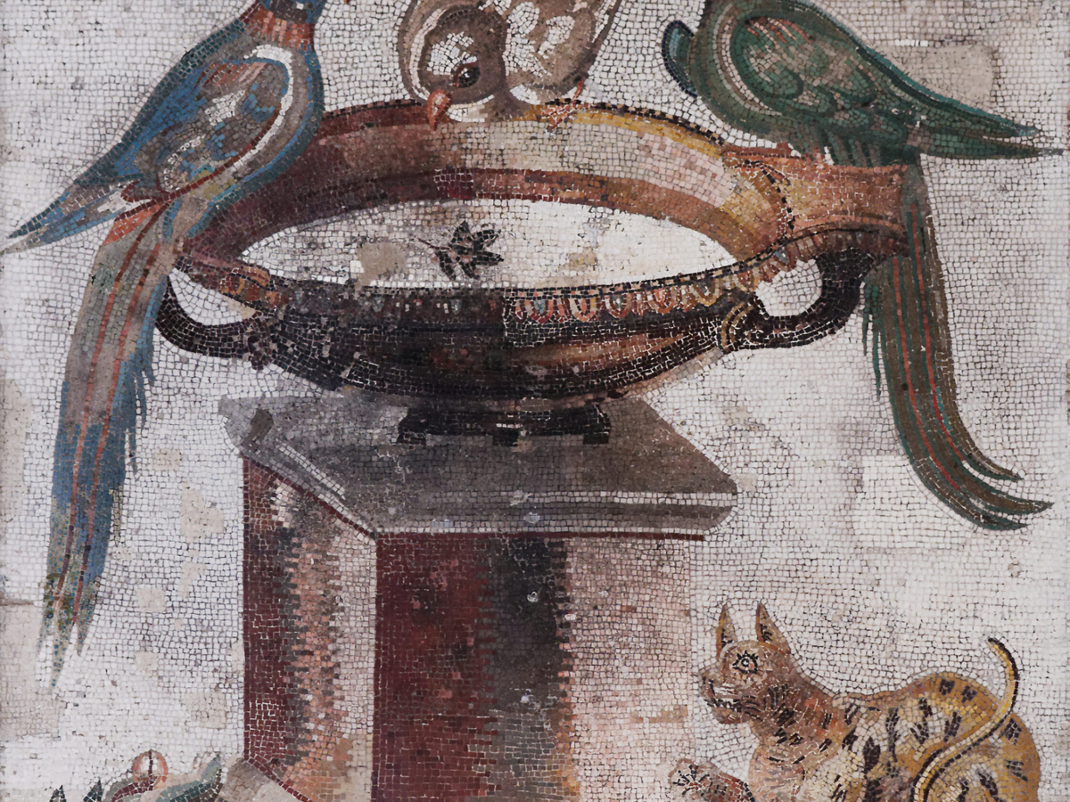 Birds_drinking_MAN_Napoli_Inv9992
