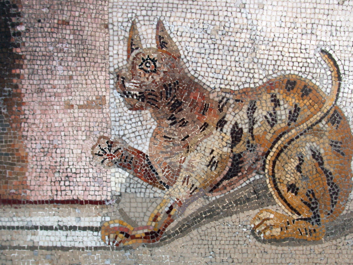 Cat_mosaic
