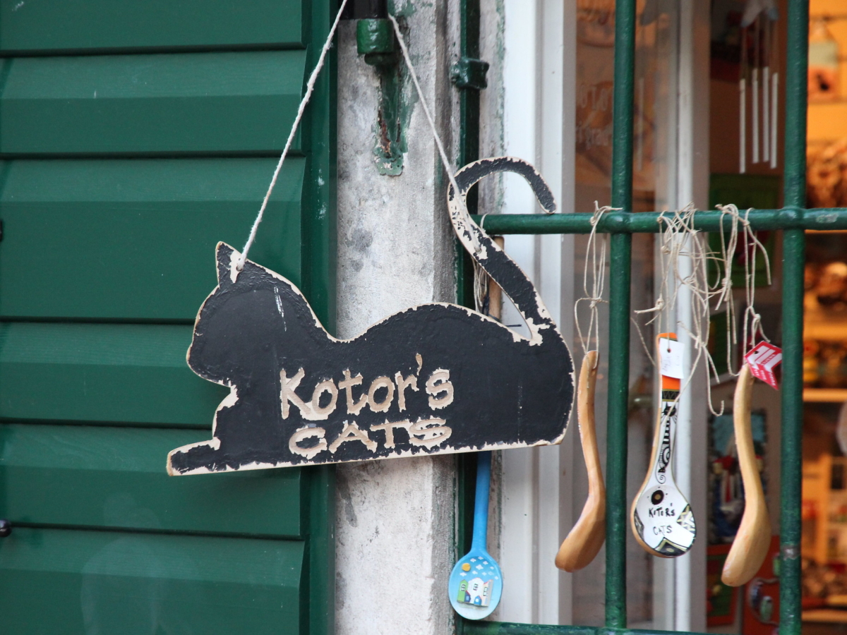 Les chats de Kotor