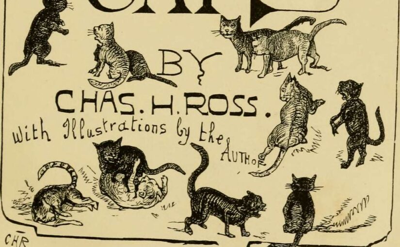 Whiskered Legends: The Six Internet Cats Everyone Needs to Know